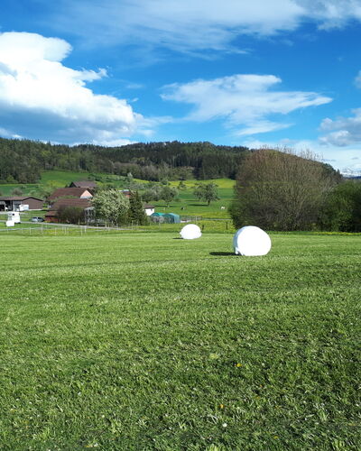 Futtermittelbörse